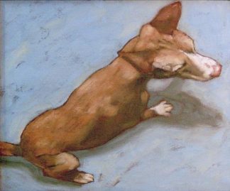 TOBIAS EMSKÖTTER - HUND VON OBEN TOBIAS EMSKÖTTER - HUND VON OBEN
