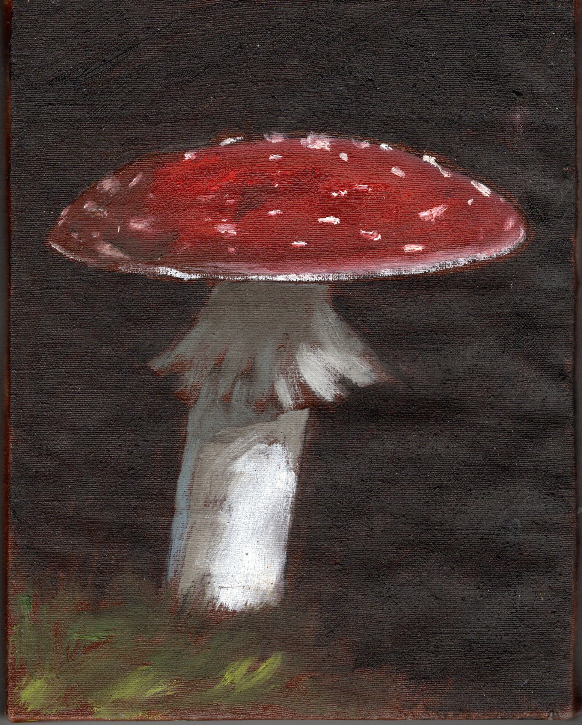 img20260203_17195338