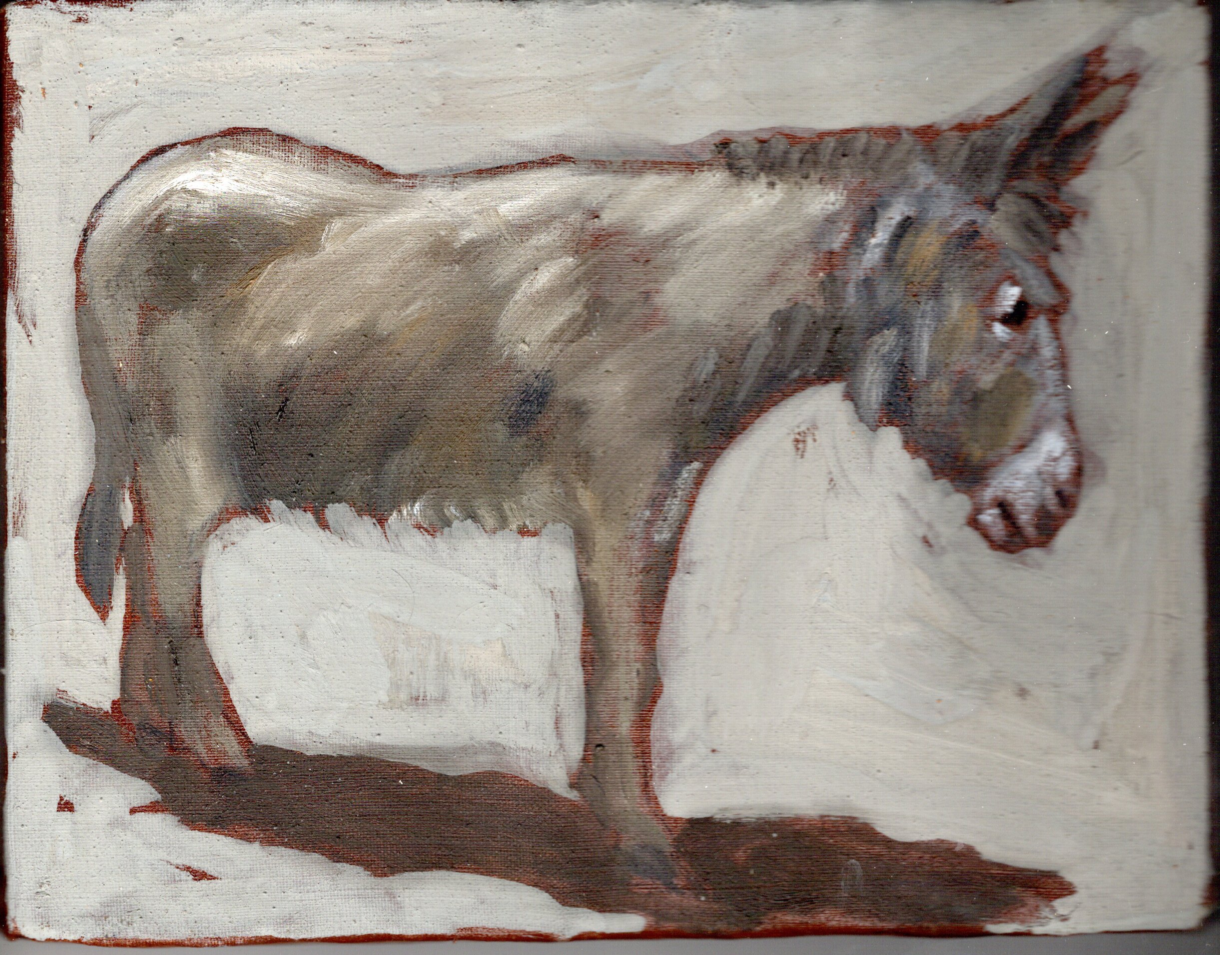 img20260203_17241089