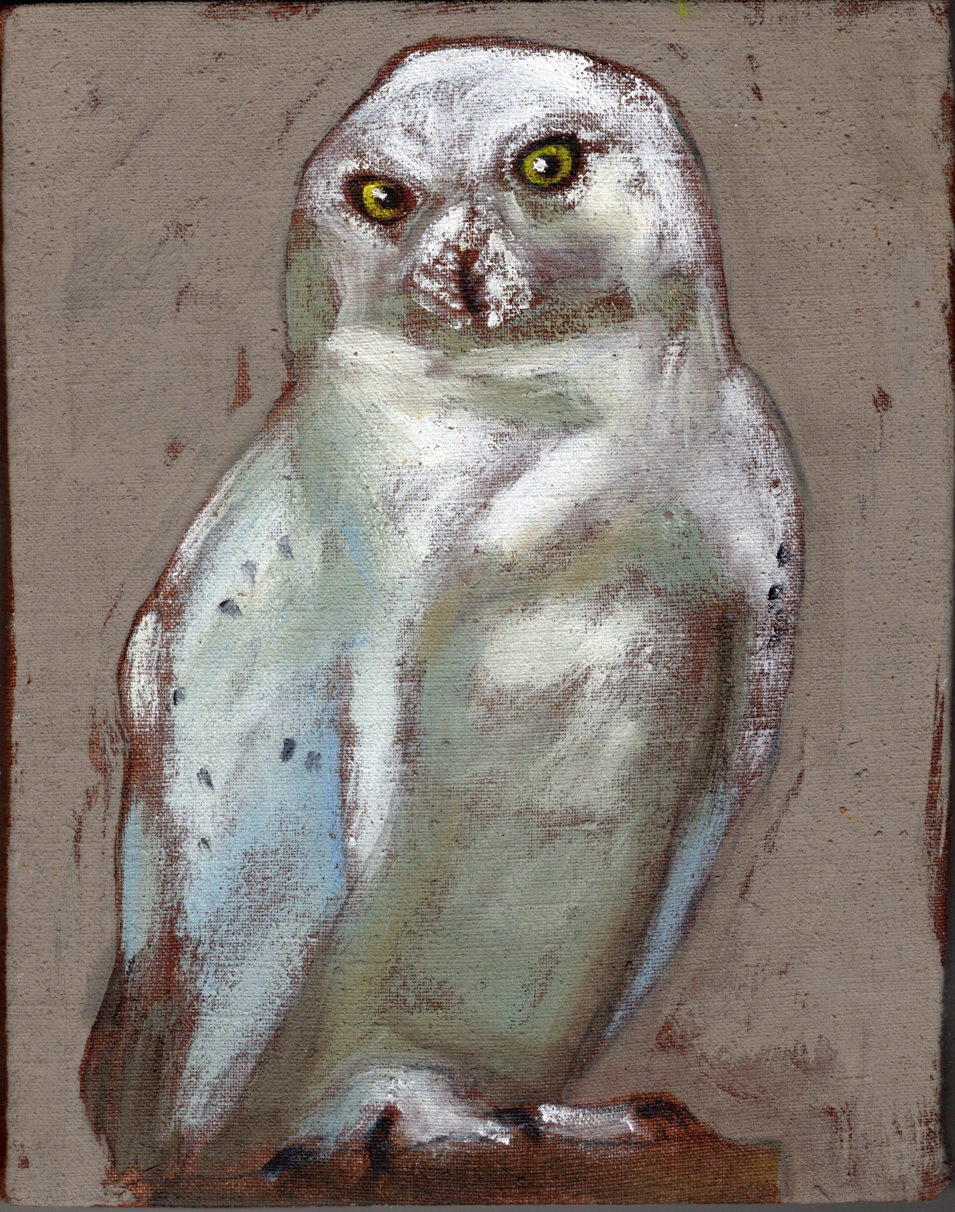 img20260203_17292661