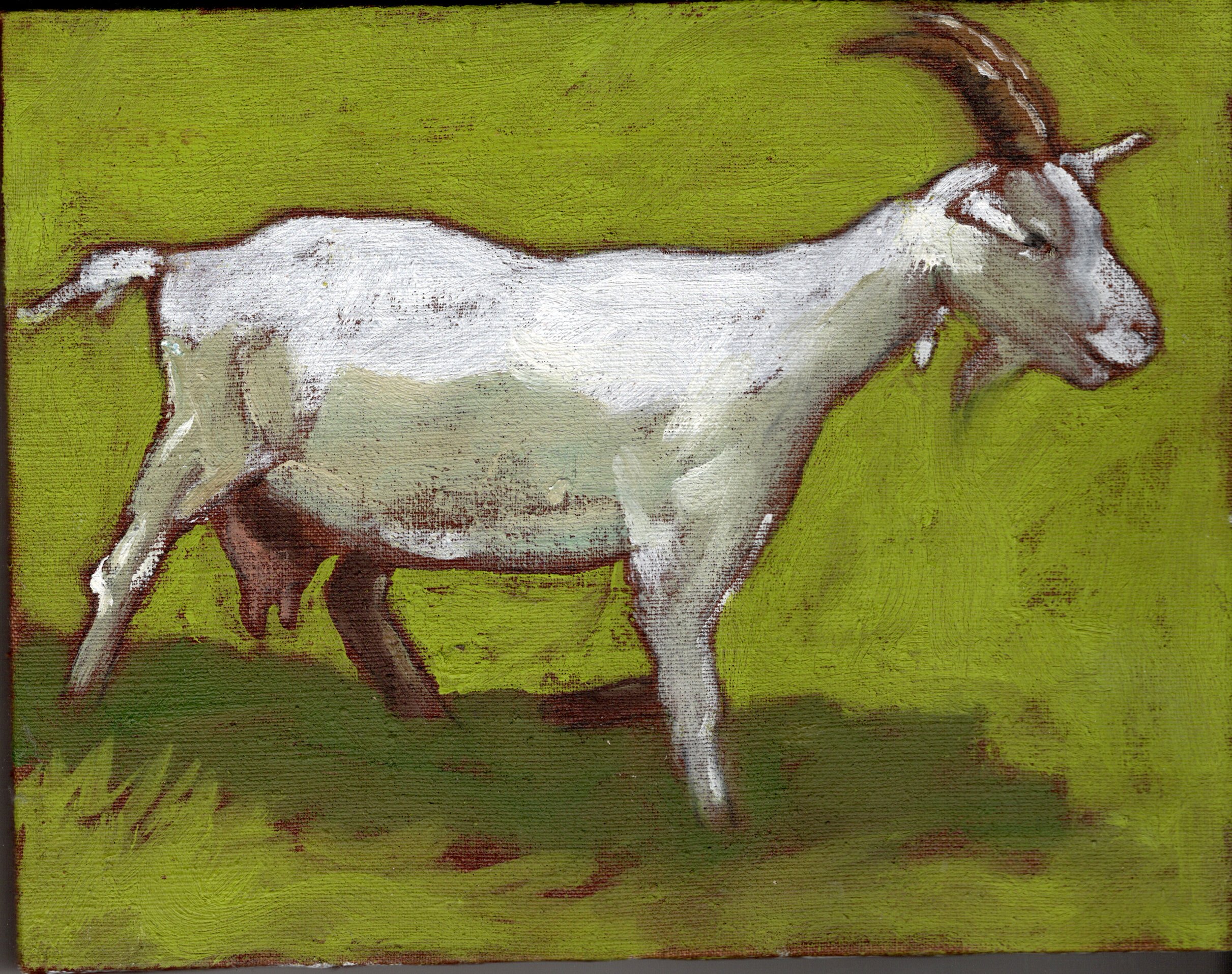 img20260203_17312986