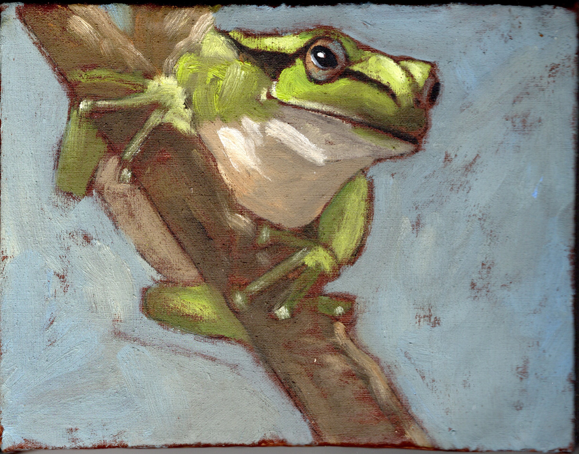 img20260203_17340652