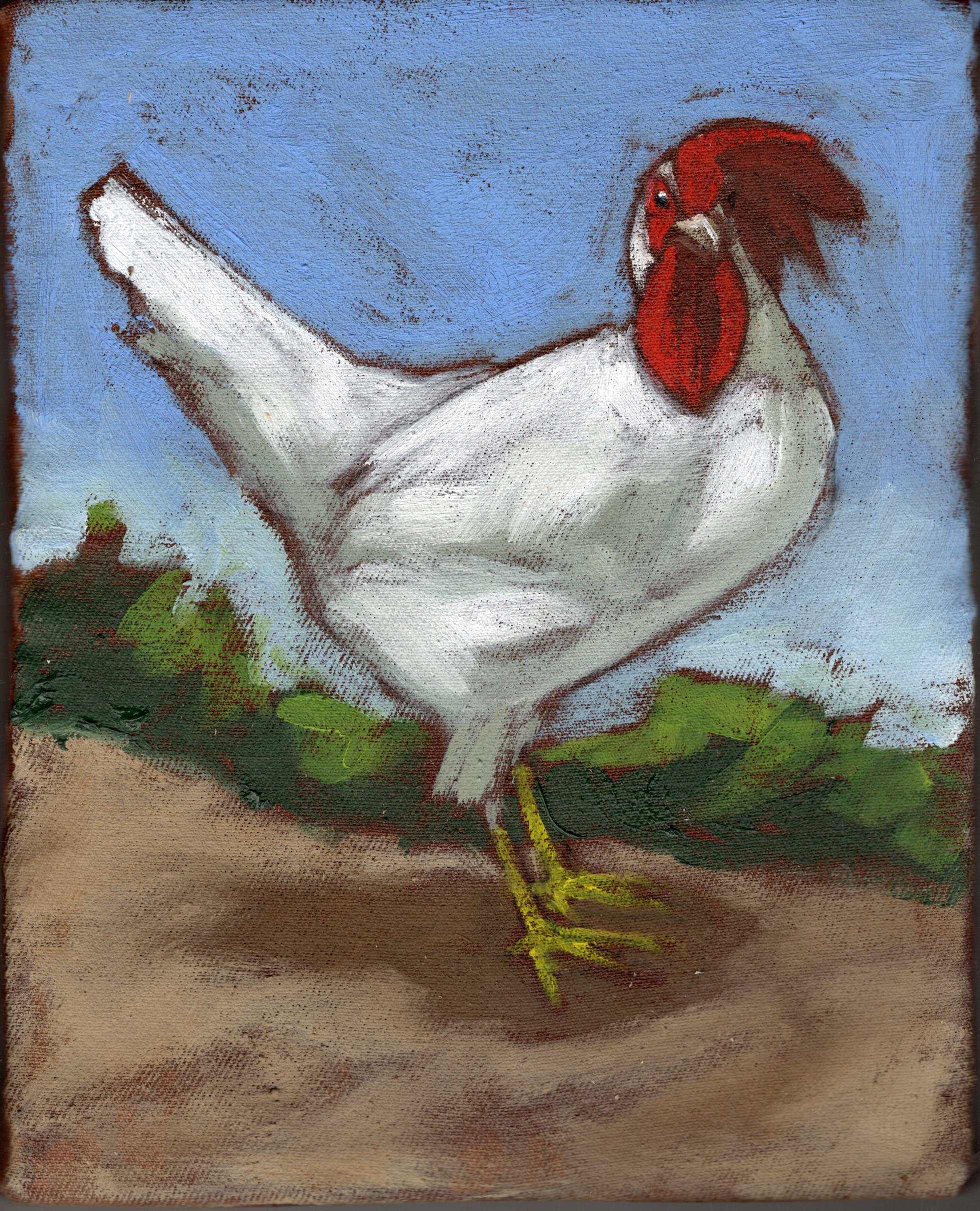 img20260203_17355530