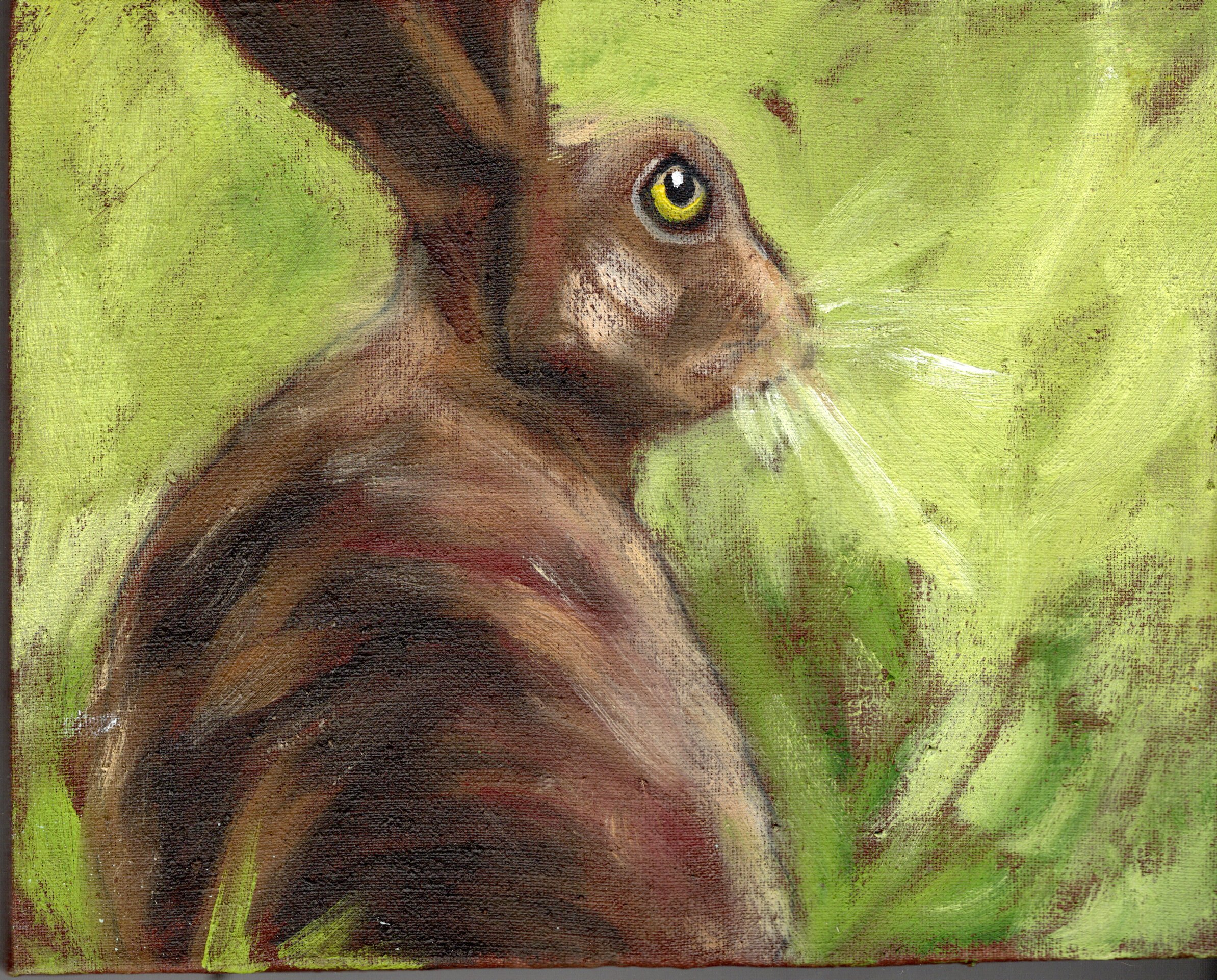 img20260203_17385232