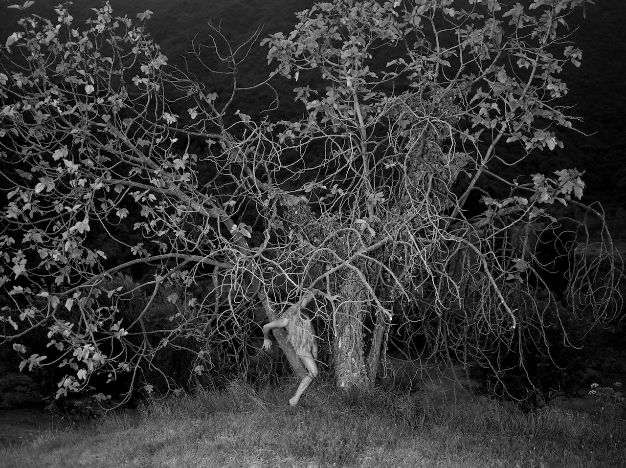 Feigenbaum L_031577_Final