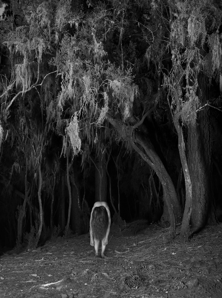 Lorbeerwald L_037440_Final