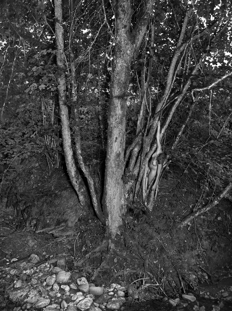 Regenwald L_035532 Final